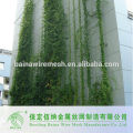Plantas de SS flexíveis escalando redes malha de escalada de parede verde